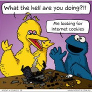 ¿Qué son las cookies?